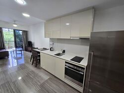 Lakeville (D22), Condominium #562083271